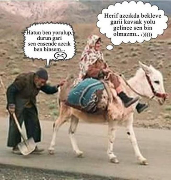Dedem sana küreği endirmeden bence sen en eşekden nine