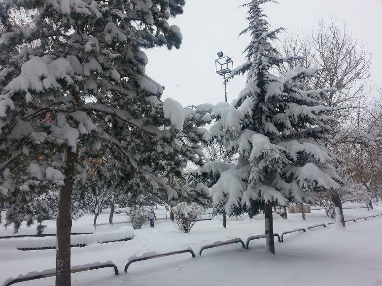 Afyon Kent Merkezin'de Kar Yağışı Bekleniyor