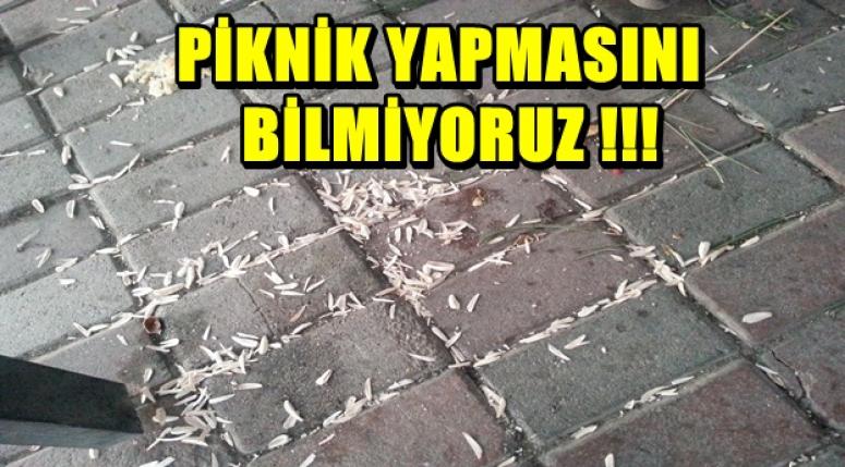 PİKNİK YAPMASINI BİLMİYORUZ !!!