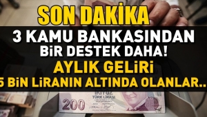 3 kamu bankasından büyük destek