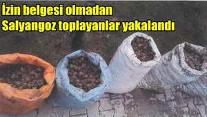 Afyon'da İzin belgesi olmadan Salyangoz toplayanlar yakalandı