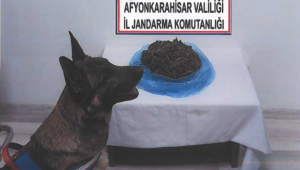 Kubar esrar ve Kenevir tohumu ele geçirildi