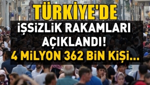 2020 Yılı Türkiye İşsizlik Rakamları