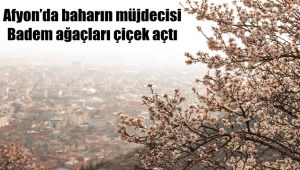 Afyon'da Badem ağaçları çiçek açtı!