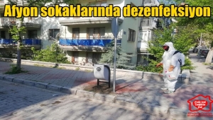 Afyon sokakları dezenfekte ediliyor