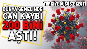 Dünya'da can kaybı 200 bini geçti