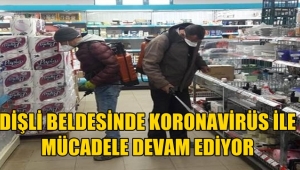 Dişli Beldesinde Koronavirüs İle Mücadele Devam Ediyor