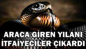 Emirdağ'da Araca giren yılanı itfaiyeciler çıkardı