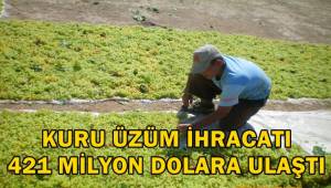 Kuru üzüm ihracatı 421 milyon dolara ulaştı