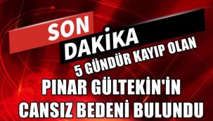 Günlerdir Kayıp olan Pınar Gültekin'in Cesedi bulundu !