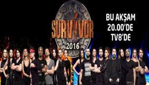 SURVİVOR YARIŞMASI REYTİNG KIRIYOR