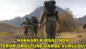 Hakkari Kırsalında Terör Örgütüne darbe vuruldu! 