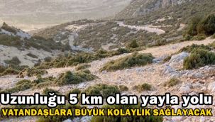 Uzunluğu 5 km olan yayla yolu kolaylık sağlayacak