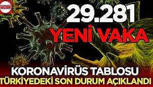 29 kasım Koronavirüs tablosu 
