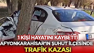 Afyon'da ağaçlara çarpan sürücü hayatını kaybetti