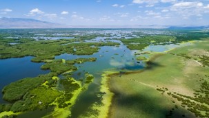 Erdoğan imzaladı! Eber Gölü Doğal Sit Alanı ilan edildi