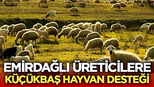 Emirdağ pilot ilçe oldu, Köyümde yaşamak için bir sürü nedenim var