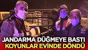 Dinar İlçe Jandarma Komutanlığı çalınan koyunları buldu