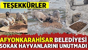 Afyonkarahisar Belediyesi sevimli dostlarımızı unutmadı 