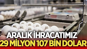 Afyonkarahisar’ın 2020 yılı Aralık ayı ihracat rakamları açıklandı