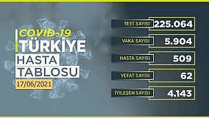 17 Haziran 2021 Korona virüs tablosu 