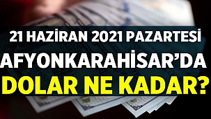 21 Haziran 2021 Pazartesi Afyon'da dolar ne kadar?
