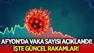 Afyon'daki vaka sayısı açıklandı!