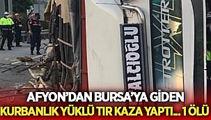 Afyon'dan Bursa'ya giden kurban yüklü tır kaza yaptı...1 ölü