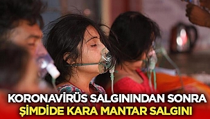 Kara mantar hastalığı nedir? 