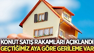 Konut satış rakamlarında son durum! 