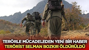 Son dakika: Terörist Selman Bozkır öldürüldü