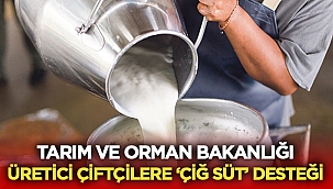 Son Dakika: Üretici çiftçilere ‘çiğ süt’ desteği verilecek