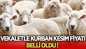 Vekaletle kurban kesim fiyatı Ali Erbaş açıkladı