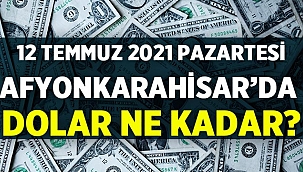 12 Temmuz 2021 Pazartesi Afyon'da dolar fiyatları