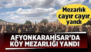 Afyon'da köy mezarlığı yandı! 