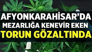 Afyon'da mezarlığa kenevir eken torun gözaltına alındı