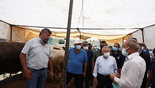 Başkan Büyükkılıç kurban pazarını denetledi 