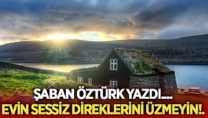 Evin sessiz direklerini üzmeyin - Şaban Öztürk