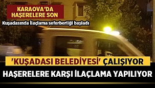 Kuşadası'nda haşerelere karşı ilaçlama yapılıyor