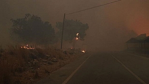 Manavgat'taki yangında 82 yaşındaki vatandaş öldü