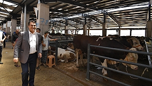 Osmangazi Kurban kesimine hazır! 