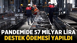 Pandemide ne kadar destek ödemesi yapıldı?