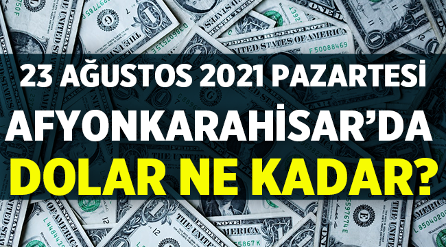 23 Ağustos 2021 Pazartesi Afyonkarahisar'da Dolar Fiyatları
