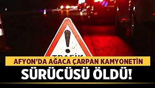 Afyon'da kamyonet ağaca çarptı: 1 ölü 