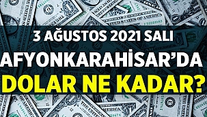 Afyonkarahisar'da Dolar fiyatları: 3 Ağustos 2021 Salı