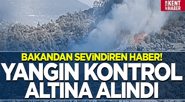 Bakan Pakdemirli: Yangın denetim altına alındı