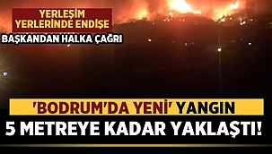 Bodrum'da yangın, yerleşim yerlerine 5 metreye kadar yaklaştı