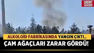 Bolvadin Alkoloid Fabrikasında yangın çıktı! 
