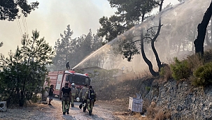 İstanbul İtfaiyesi yangın bölgelerinde destek oluyor