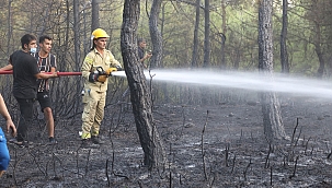 İzmir Sarnıç yangını hızla söndürüldü